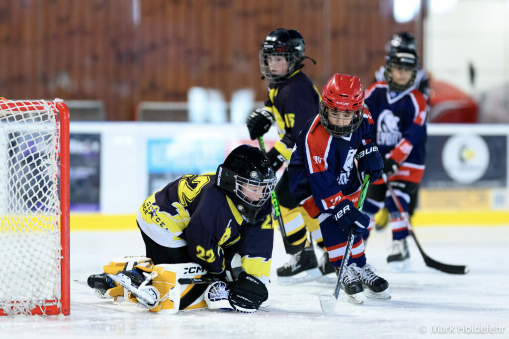 Plateau u8 u9 lyon hockey club108