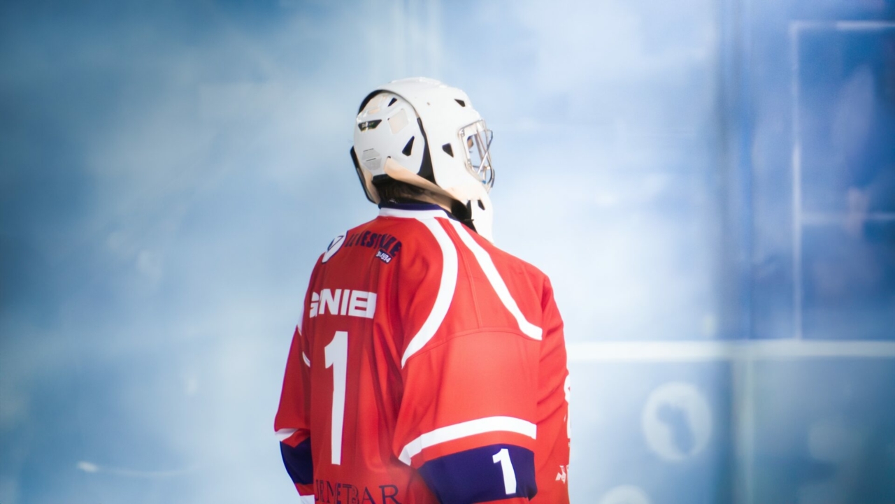 lyon vs vaujany 3 site