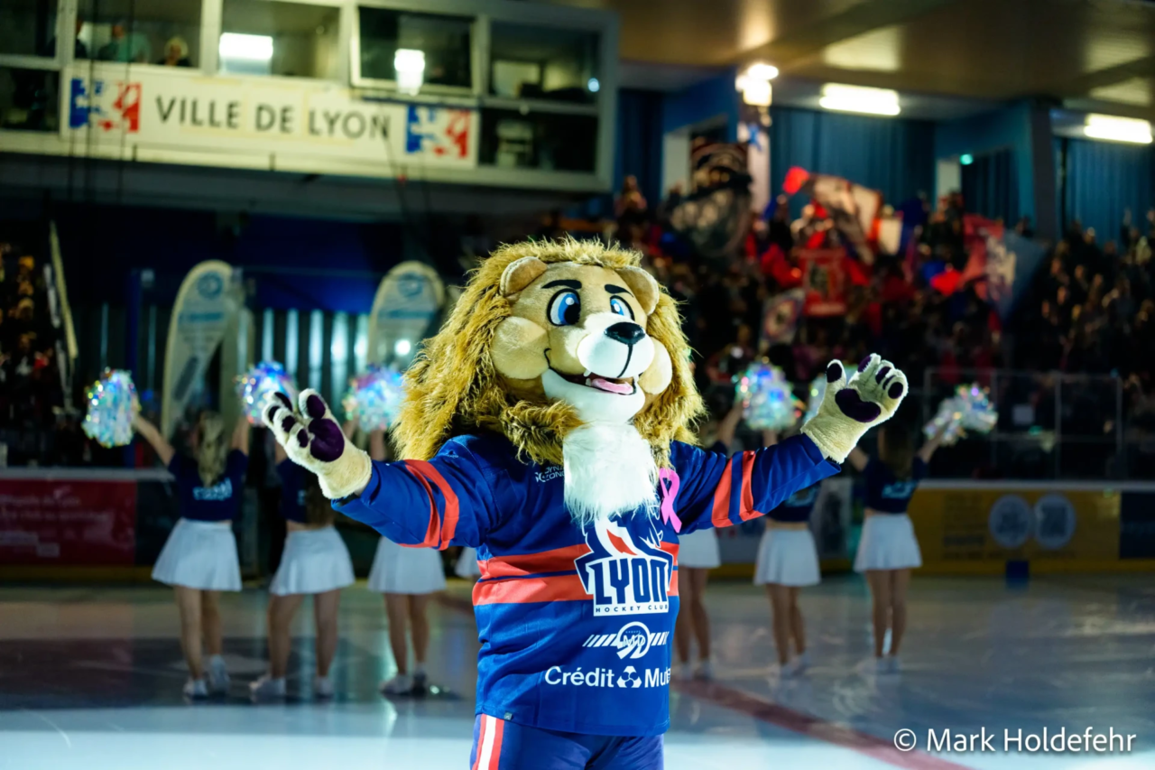 Coupe de France 2ème tour : la marche était trop haute pour les Lions qui sont éliminés en 16ème de finale ! 1 2nd2326
