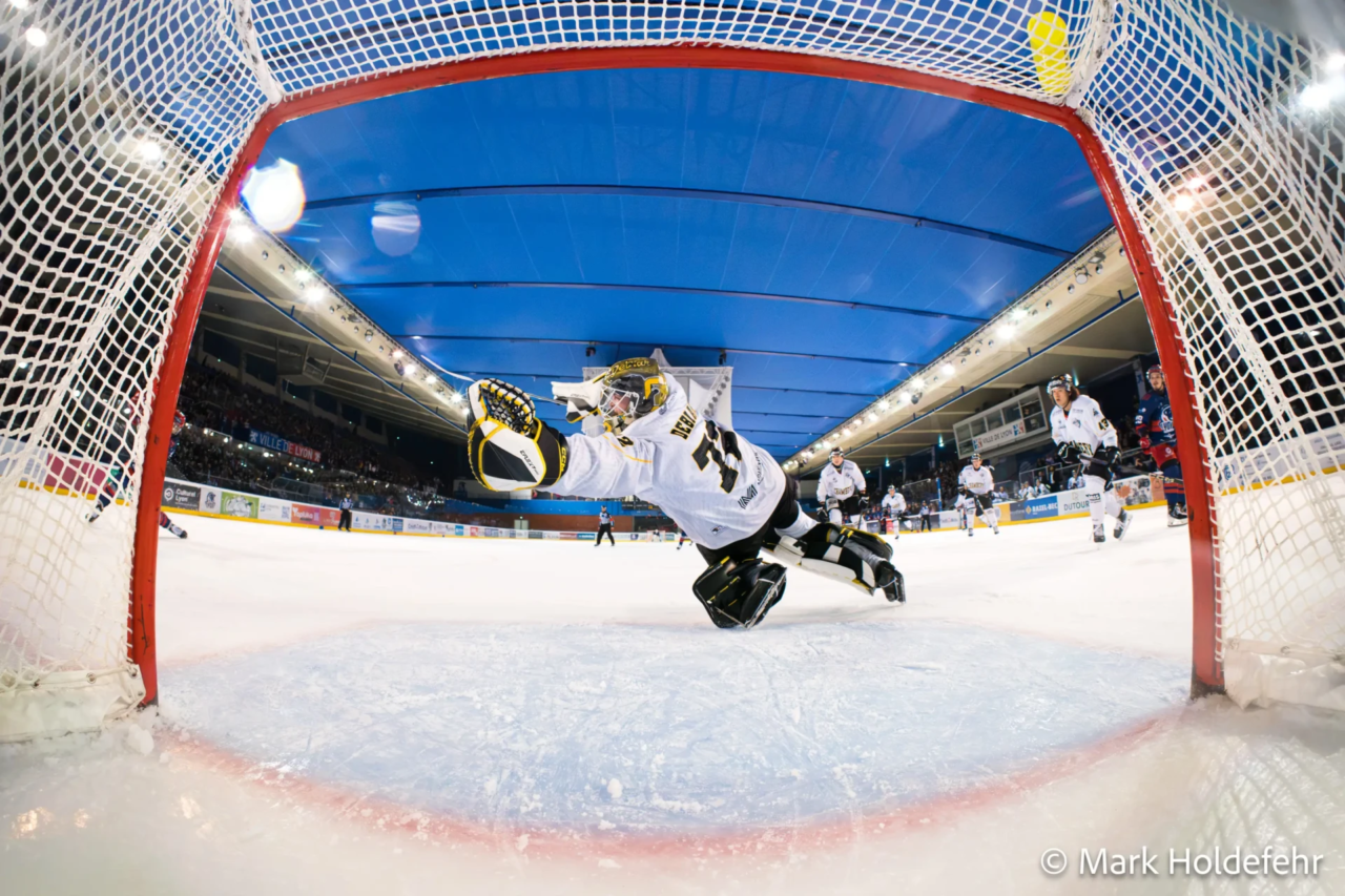 D1 : Les Lions se défont de Chambéry ! 7 _DSC5395