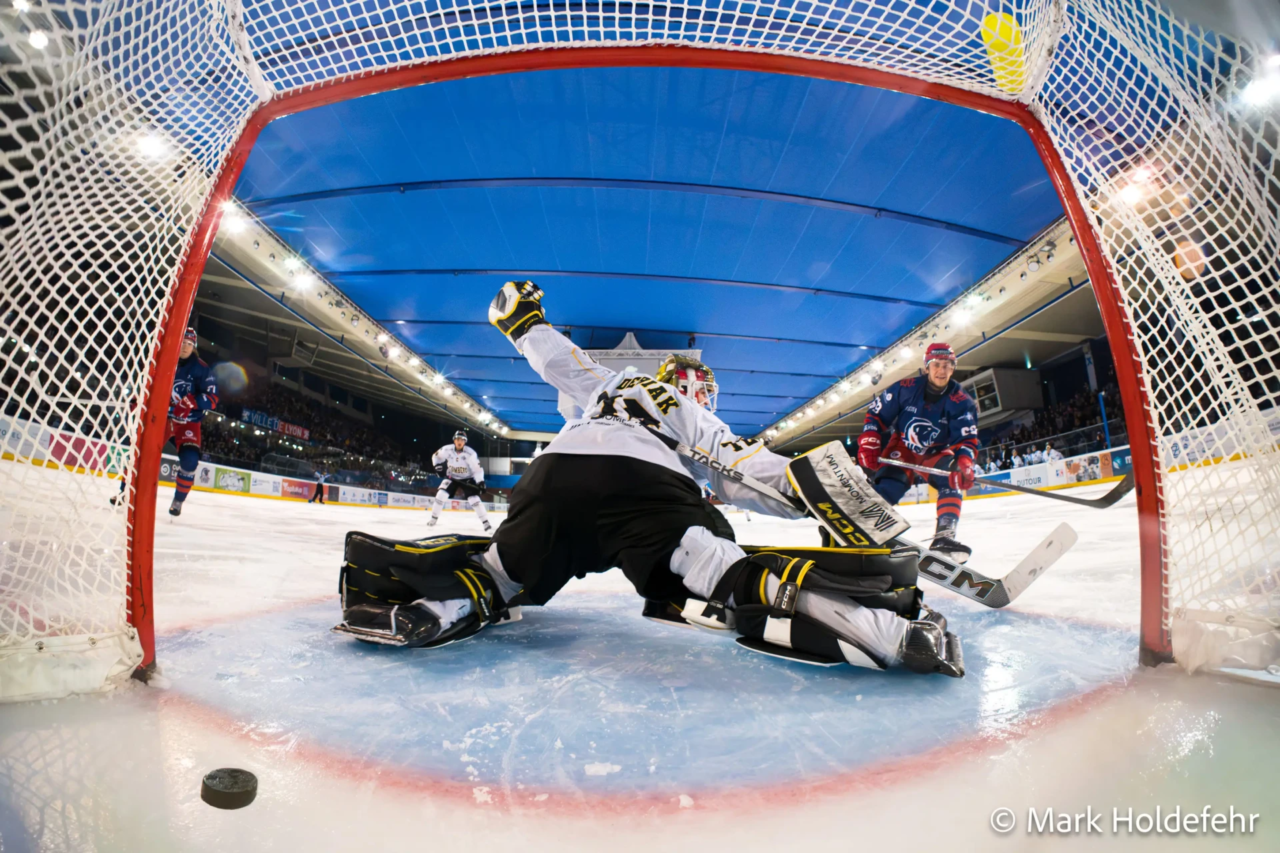 D1 : Les Lions se défont de Chambéry ! 11 _DSC6054